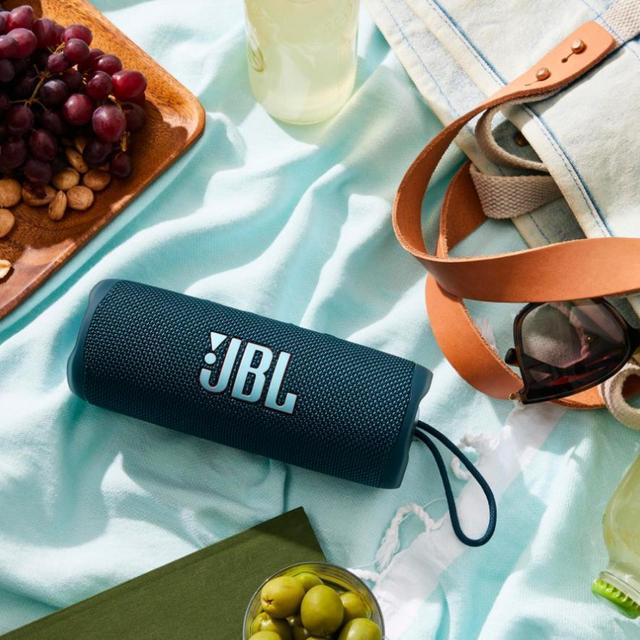 Flip 6 Portable Waterproof Speaker