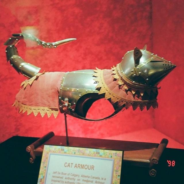 Custom Medieval Cat Armor