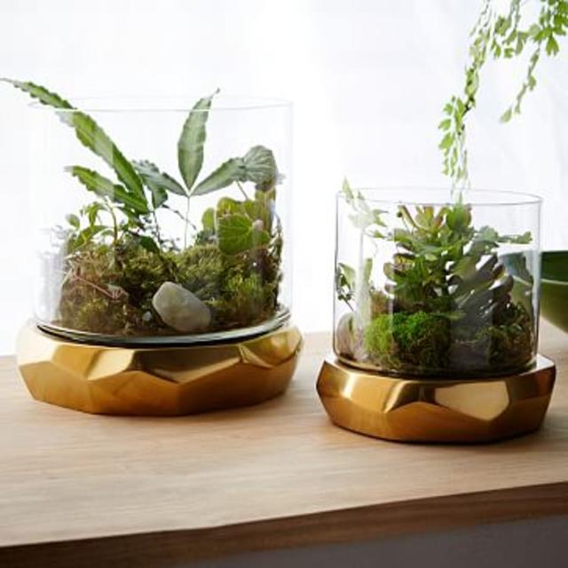 Roar + Rabbit Freeform Terrariums