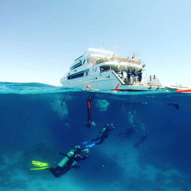Liveaboard Experience - Diving at the Great Barrier Reef