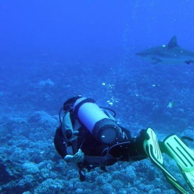 Two-Tank Scuba Diving Trip to Tiputa Pass