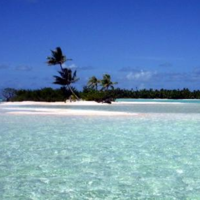 Pink Sand Excursion, Snorkeling, and Beach BBQ
