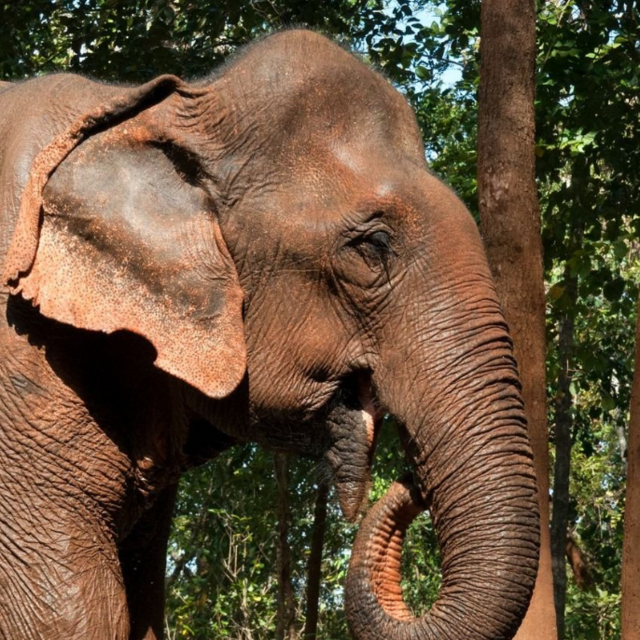 Viaje a la provincia de Mondulkiri