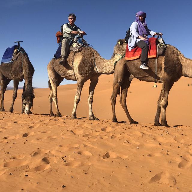 Overnight Sahara Tour on Camels