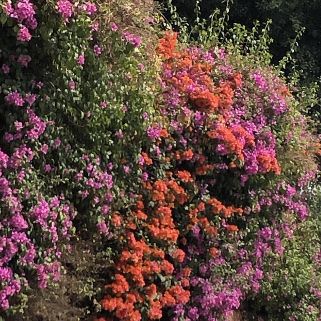 Secret Garden Visit Marrakesh for Two