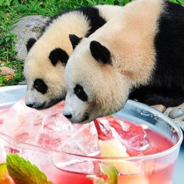 Cheers