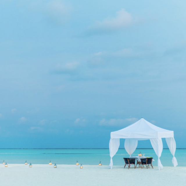 TENTED DINNER