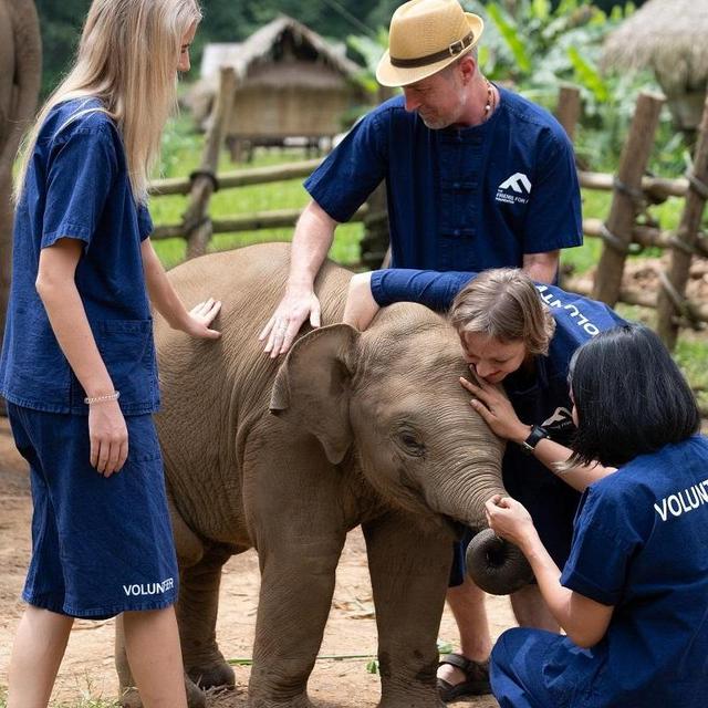Elephant Camp at Thailand