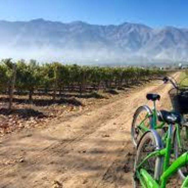 Bicycle through Maipo Valley