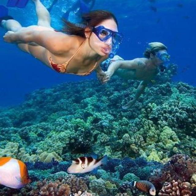 Snorkeling