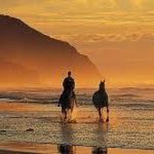 Horseback riding on the beach