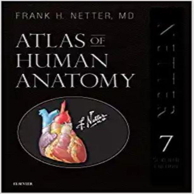 Atlas of Human Anatomy, Professional Edition: including NetterReference.com Access with Full Downloadable Image Bank (Netter Basic Science)
