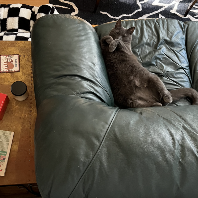 New Couch Fund