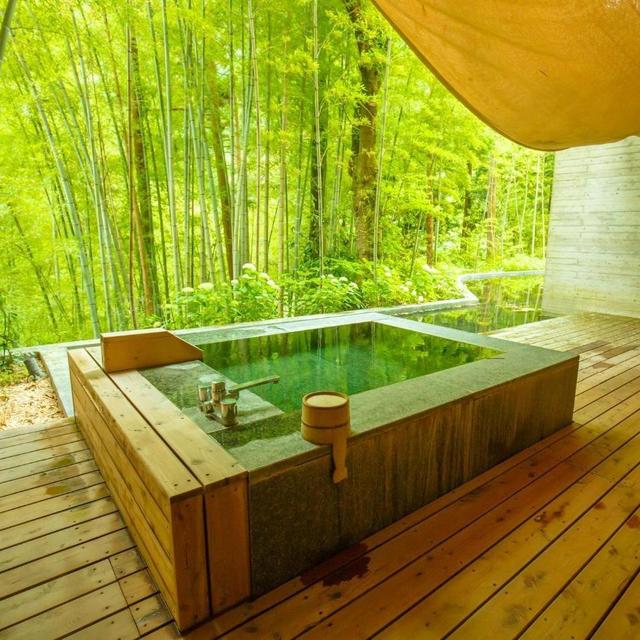 Ryokan Hakone (Japanese Inn)