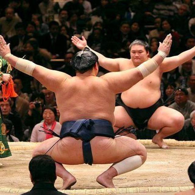 Sumo Wrestling Match