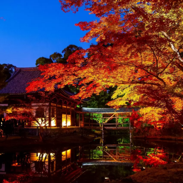 Kodai-ji