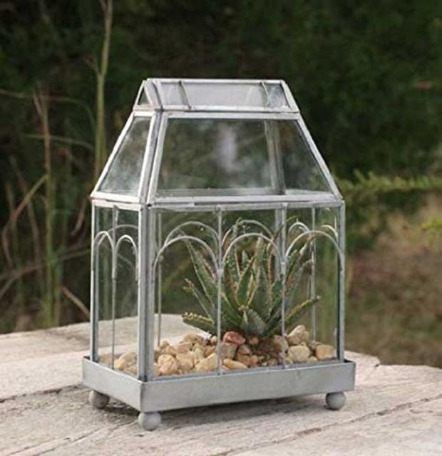 Archway Glass Terrarium