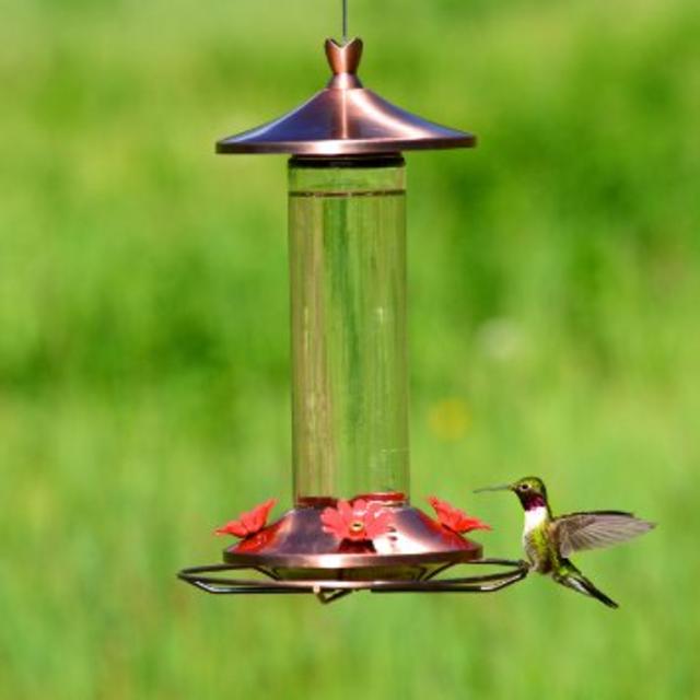Glass Hummingbird Feeder