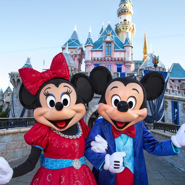 Disneyland Passes