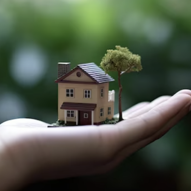 Home Furnish
