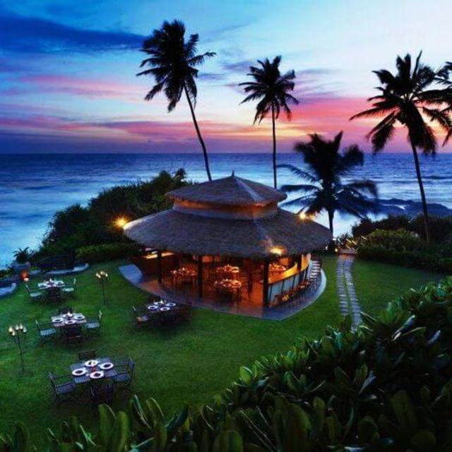 Our Sri Lankan Honeymoon