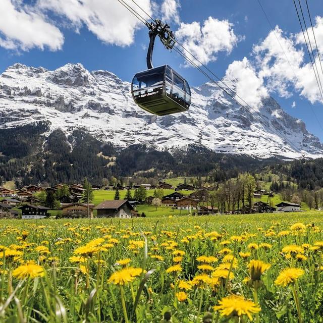 Gondola Ride to Jungfraujoch in Switzerland