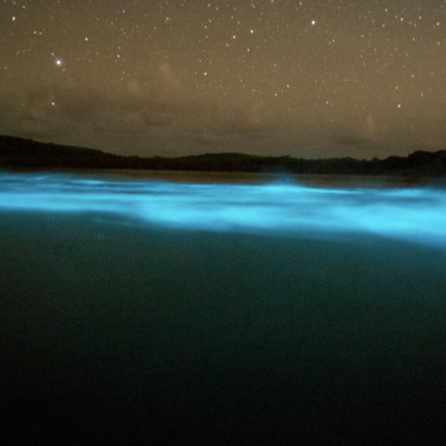 Remote Bioluminescent Bay Kayaking Tour