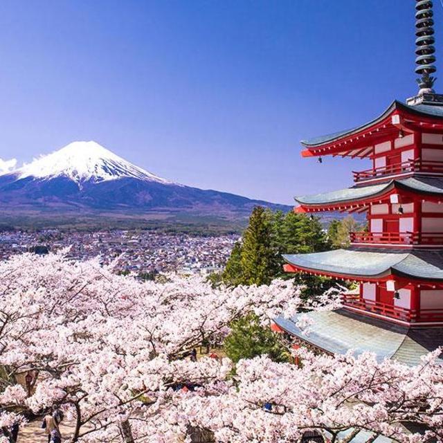 Ang & Doug Dream of Sushi - Honeymoon Fund