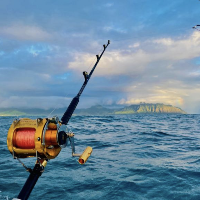 Honeymoon Fishing