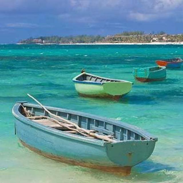 Boat Tours