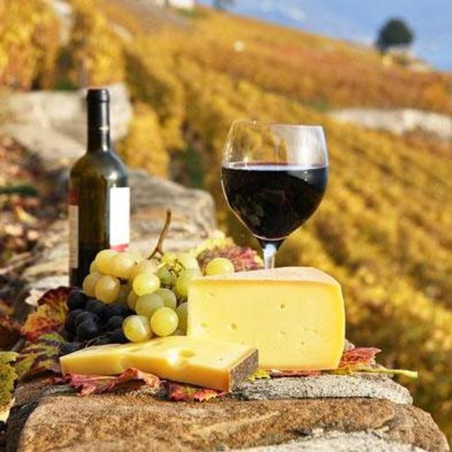 Wine Tours in Tuscany