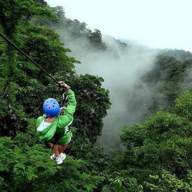 Zip Line Canopy Observation Tour