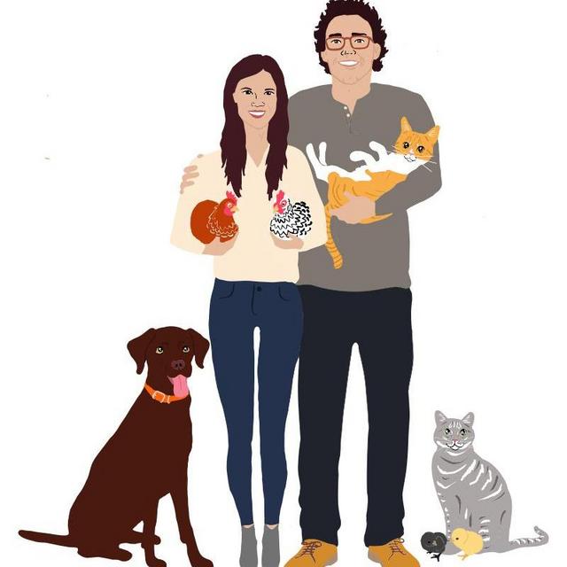 Animal fund for the farm