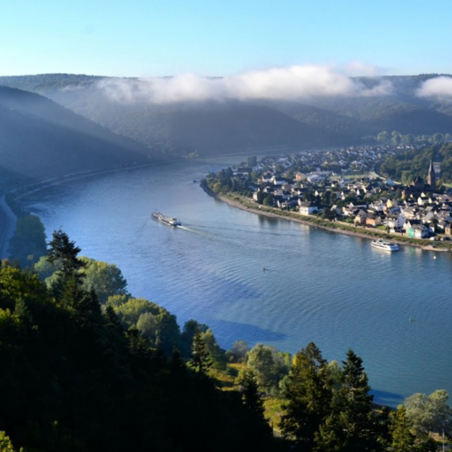 Honeymoon on the Rhine