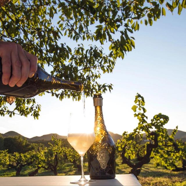 Wine Tasting Tour