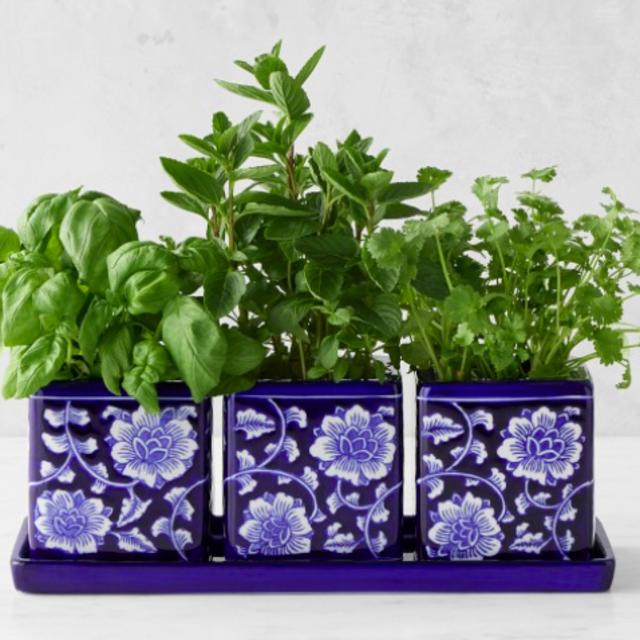 Blue & White Ceramic Herb Tray with Pots, Set of 3