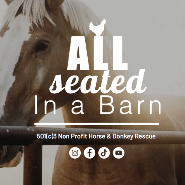 Horse and Donkey Rescue Fund