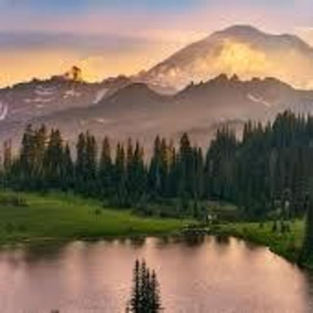 Renting a Cabin in WA