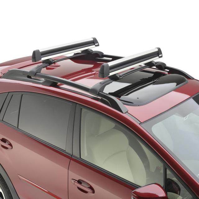Ski and Snowboard Carrier