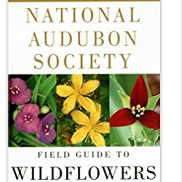 National Audubon Society Field Guide to Wildflowers