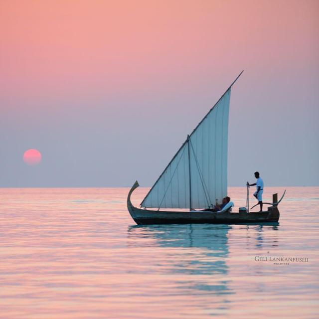 Sunset Dolphin Cruise!