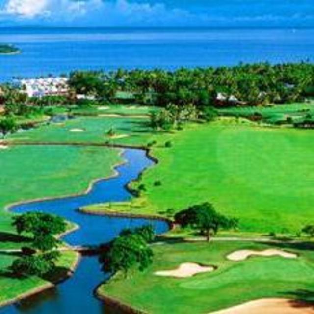 Fiji Golf Game