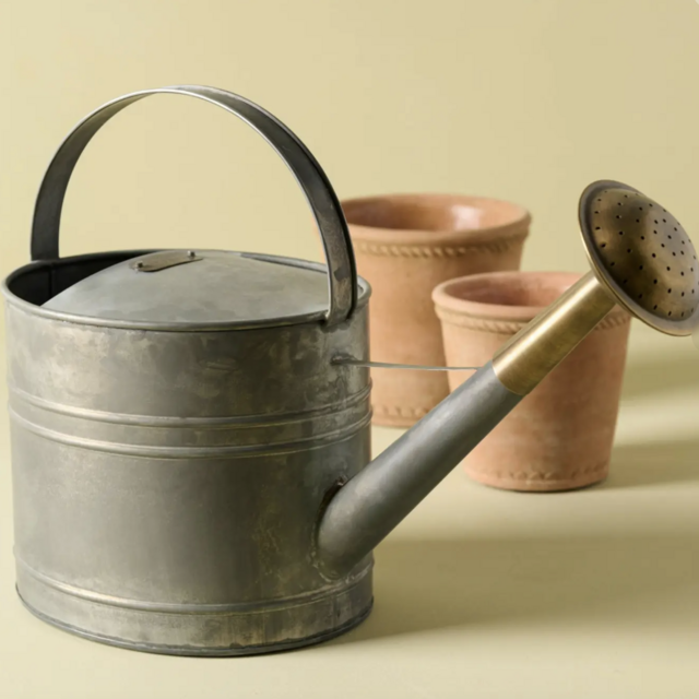 Magnolia Antique Inspired Galvanized Watering Can