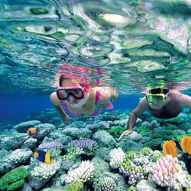 Snorkeling in Costa Rica