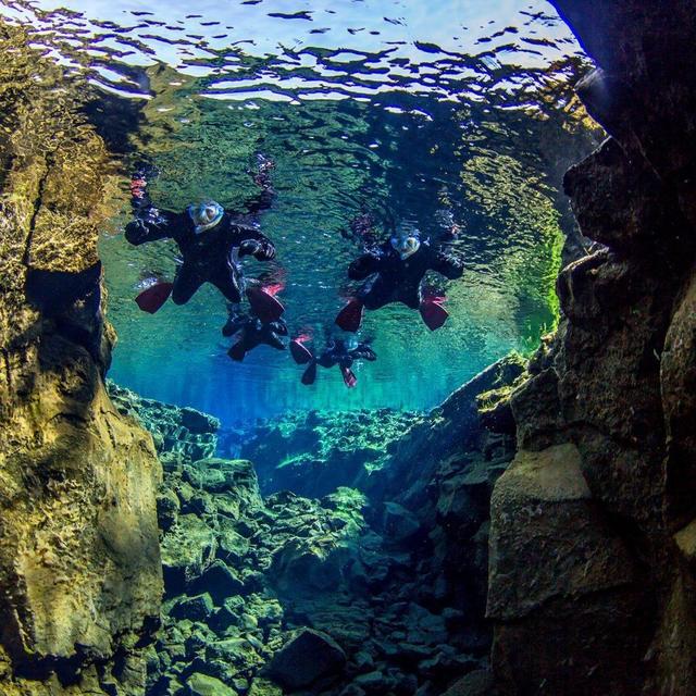Snorkeling Silfra Fissure (between 2 tectonic plates)