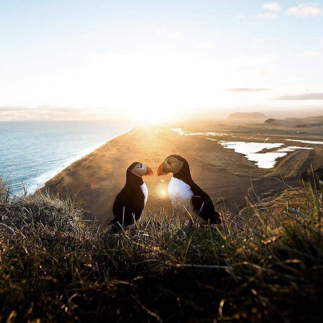 Our Icelandic Honeymoon Fund