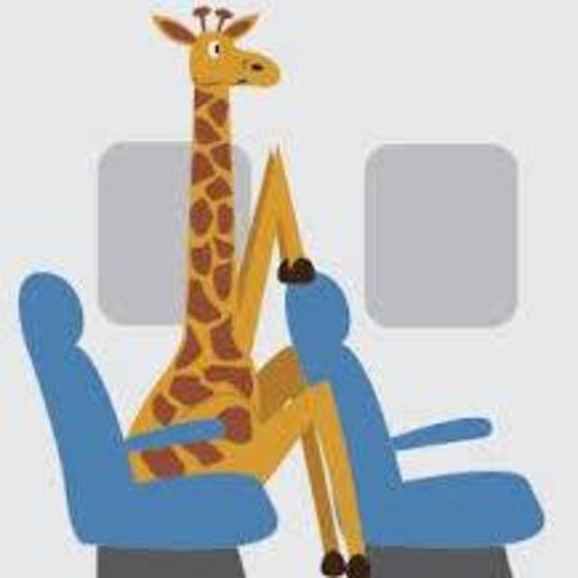 Upgrade to Exit Row
