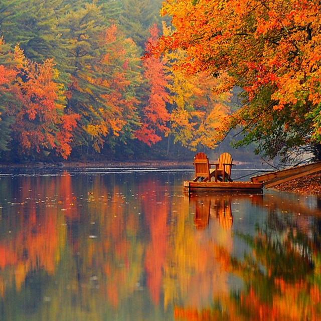 Honeymoon Fund - Road Trip to Portland, Maine!