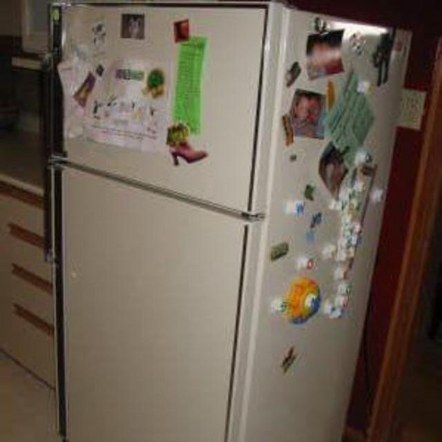 Fridge Vacation