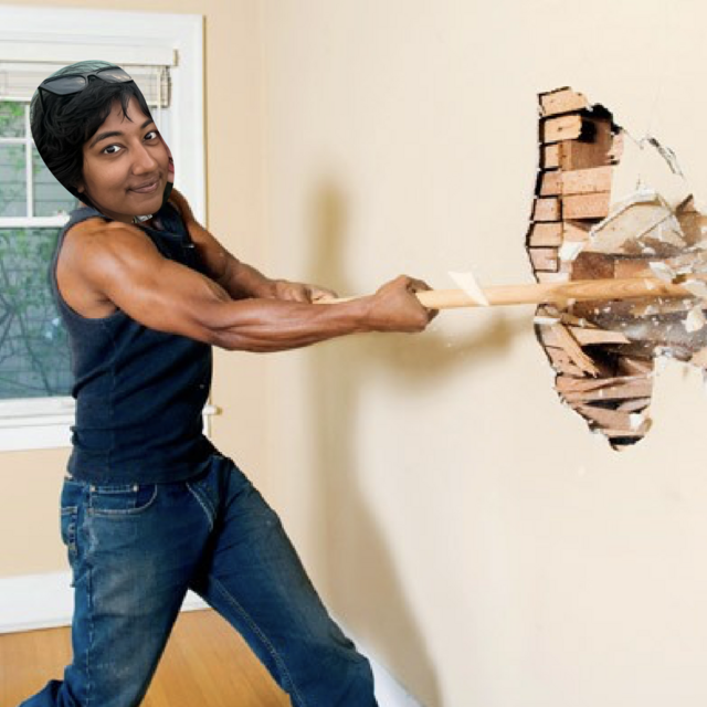 Bust Some Walls Down